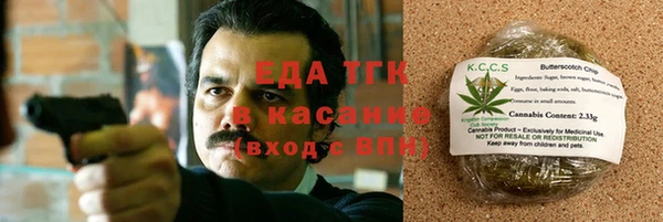 шишки Аркадак