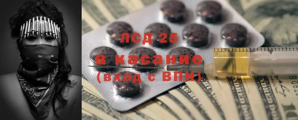шишки Аркадак