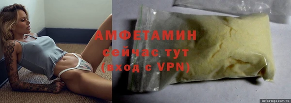 шишки Аркадак