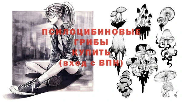 тгк Баксан