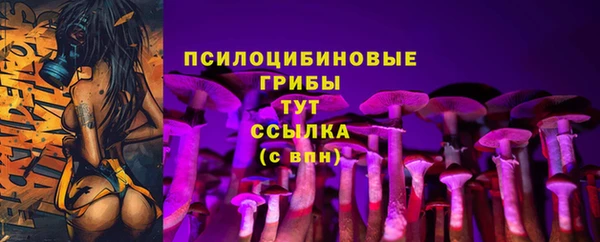шишки Аркадак