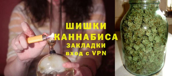 PSILOCYBIN Балахна